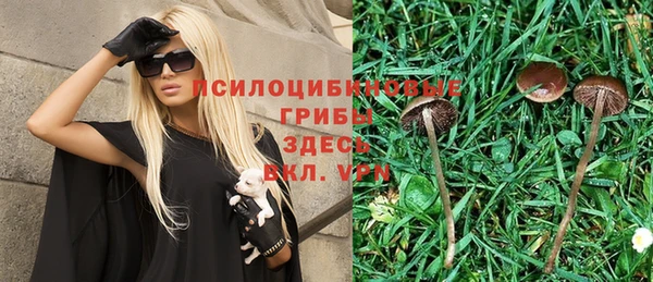 альфа пвп Армянск