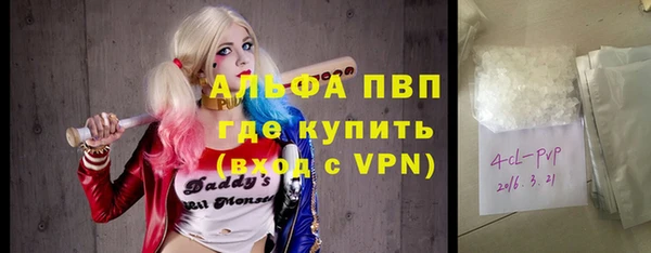PSILOCYBIN Аркадак