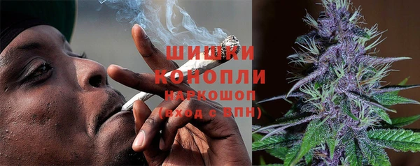 PSILOCYBIN Аркадак