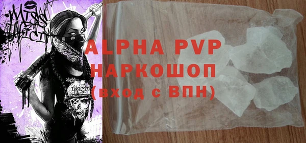 PSILOCYBIN Аркадак