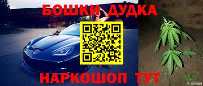 молекула духа Нальчик