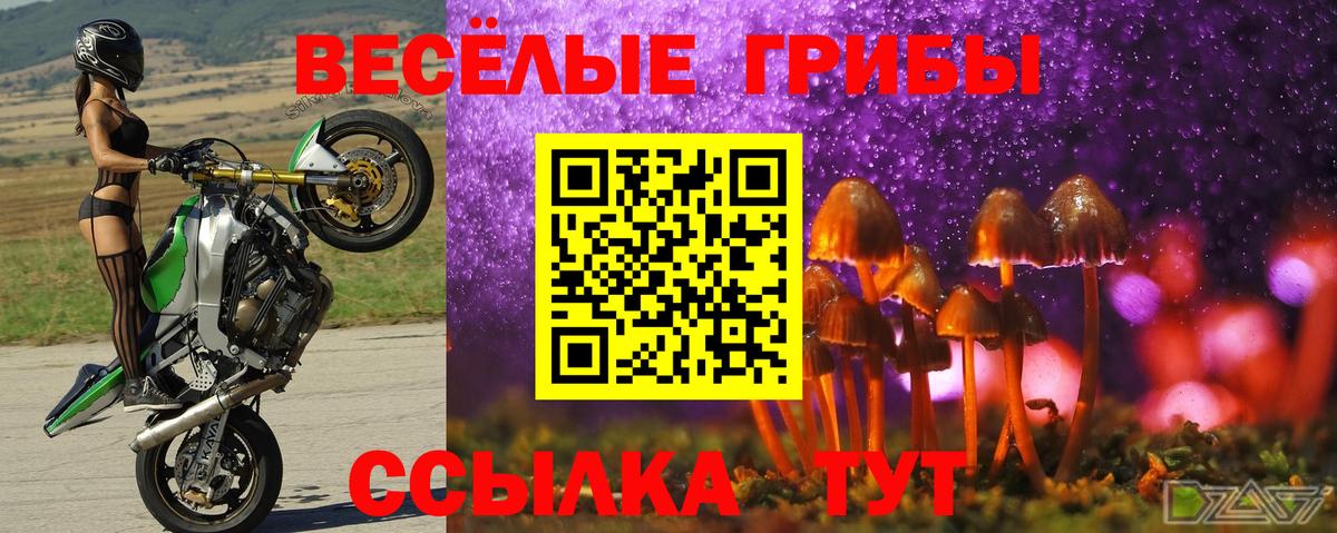 Набережные Челны  Псилоцибиновые грибы MAGIC MUSHROOMS  Вход с VPN 
