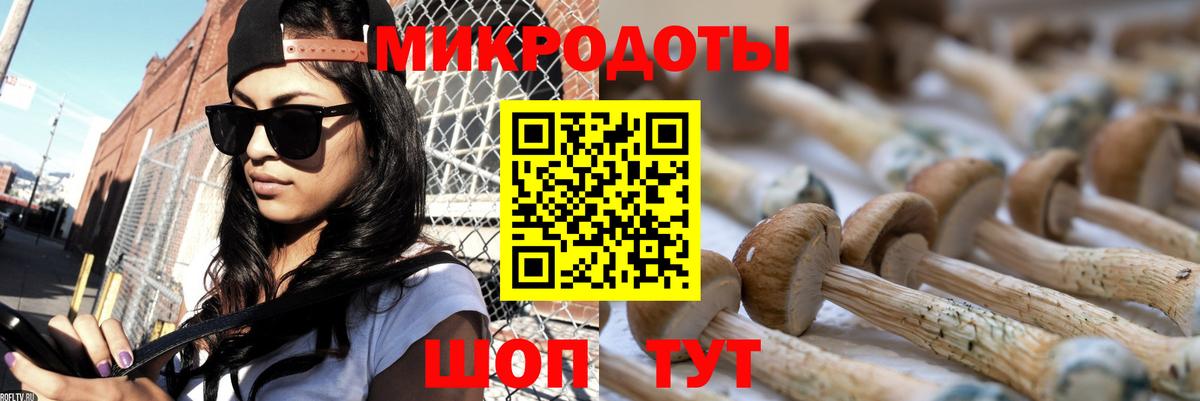 Галлюциногенные грибы Cubensis Набережные Челны